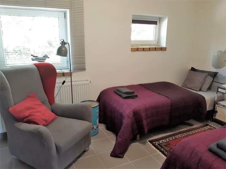 Appartement Dom Sztuk - House Of Arts à Międzyrzecz Extérieur photo
