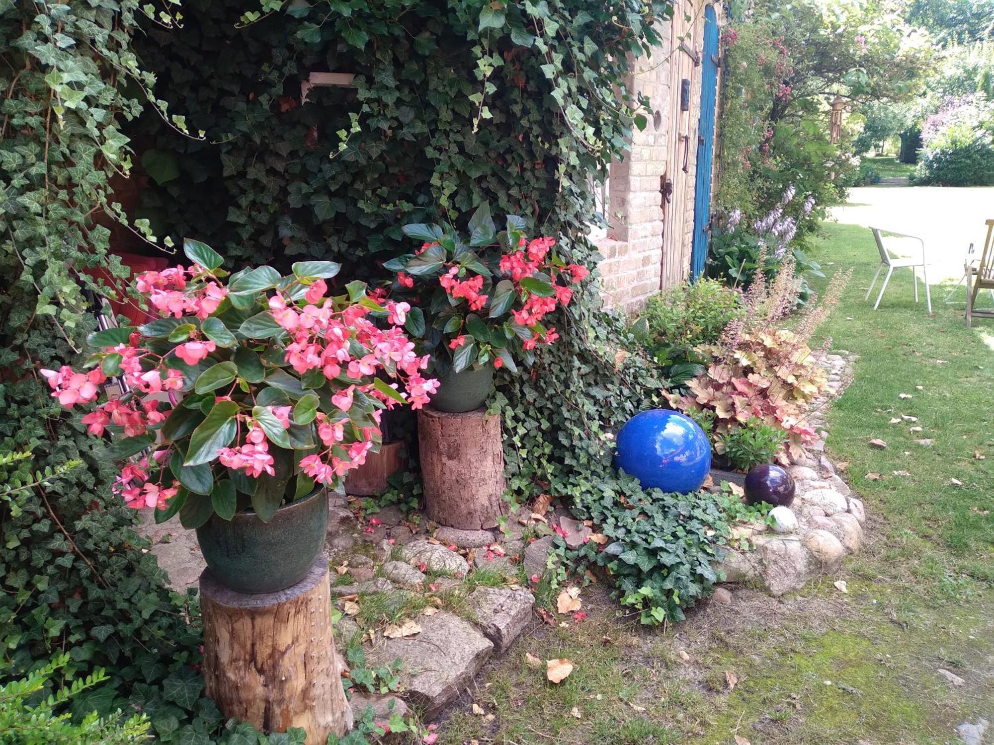 Appartement Dom Sztuk - House Of Arts à Międzyrzecz Extérieur photo